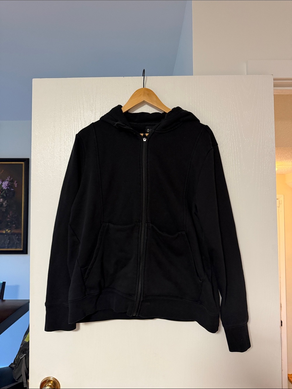 FIGS hoodie